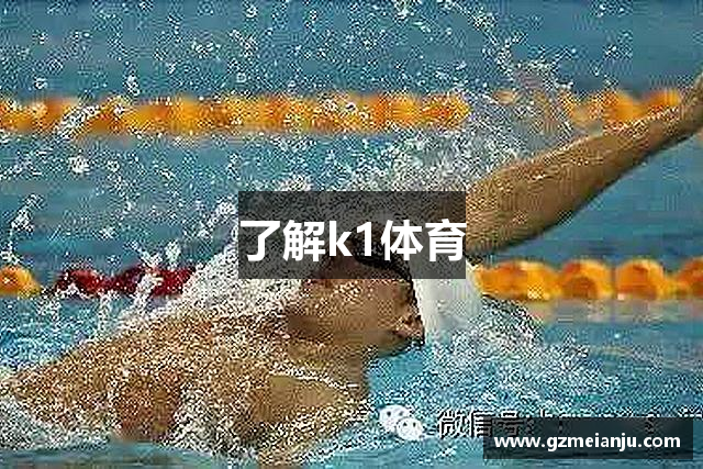 了解k1体育